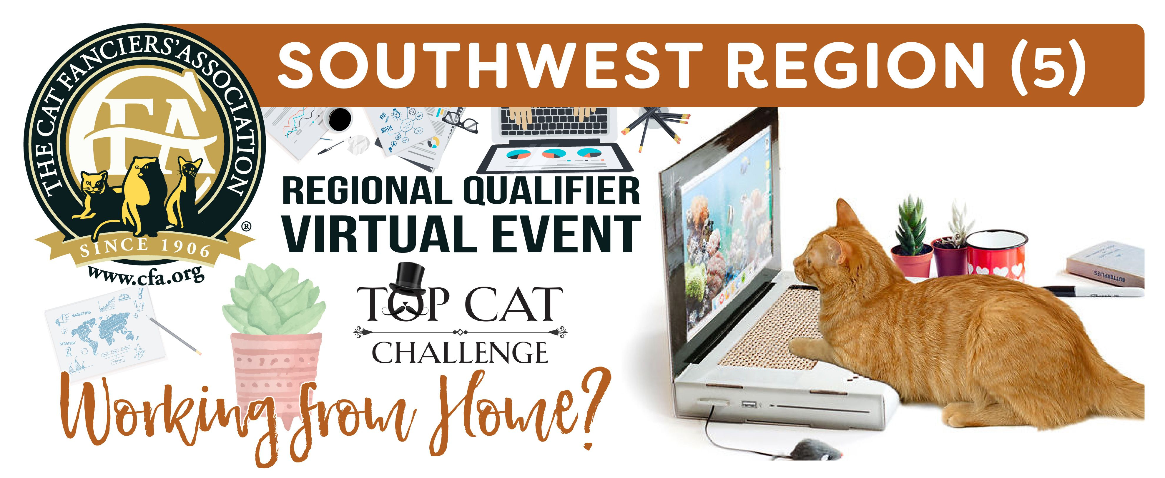 Judges CFA Virtual Cat Competitions